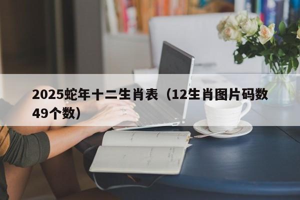 2025蛇年十二生肖表（12生肖图片码数49个数）