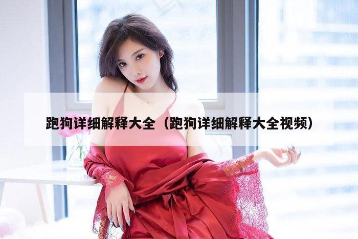 跑狗详细解释大全（跑狗详细解释大全视频）