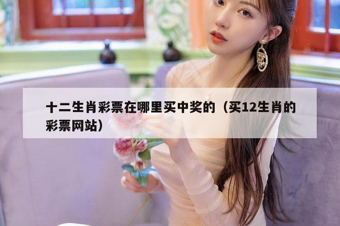 十二生肖彩票在哪里买中奖的（买12生肖的彩票网站）